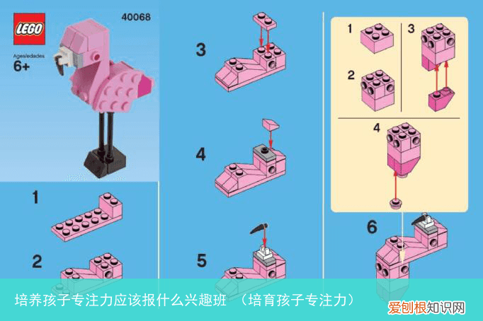 培育孩子专注力 培养孩子专注力应该报什么兴趣班