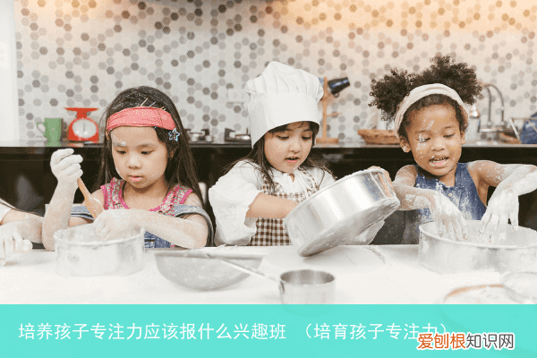 培育孩子专注力 培养孩子专注力应该报什么兴趣班