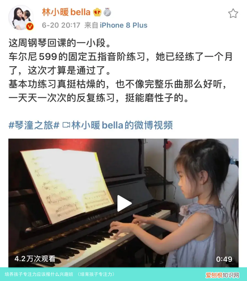 培育孩子专注力 培养孩子专注力应该报什么兴趣班