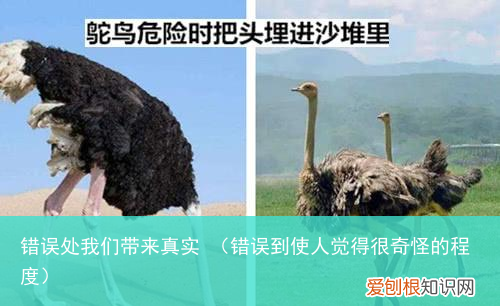 错误到使人觉得很奇怪的程度 错误处我们带来真实