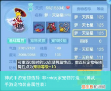 神武手游宠物装备属性表 神武手游宠物选择 非rmb玩家宠物打造