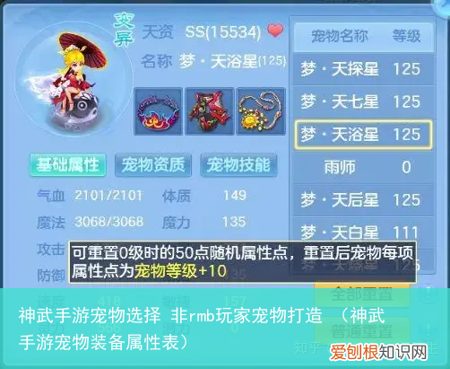 神武手游宠物装备属性表 神武手游宠物选择 非rmb玩家宠物打造