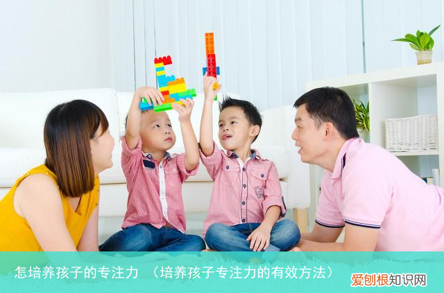 培养孩子专注力的有效方法 怎培养孩子的专注力