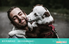 新手养狗基础知识 新手养狗的知识