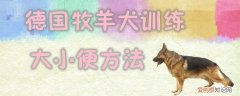 德国牧羊犬训练大小便有哪些方法，牧羊犬怎么训练大小便