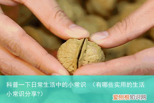 有哪些实用的生活小常识分享? 科普一下日常生活中的小常识