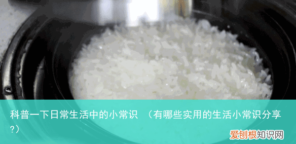 有哪些实用的生活小常识分享? 科普一下日常生活中的小常识