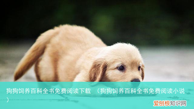 狗狗饲养百科全书免费阅读小说 狗狗饲养百科全书免费阅读下载