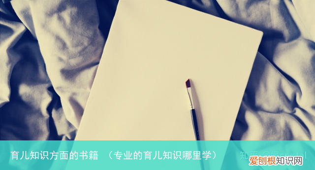 专业的育儿知识哪里学 育儿知识方面的书籍
