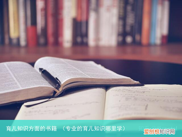 专业的育儿知识哪里学 育儿知识方面的书籍