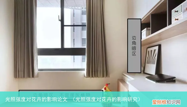 光照强度对花卉的影响研究 光照强度对花卉的影响论文