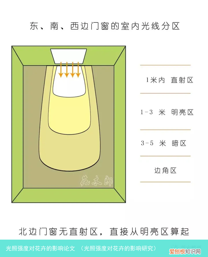 光照强度对花卉的影响研究 光照强度对花卉的影响论文