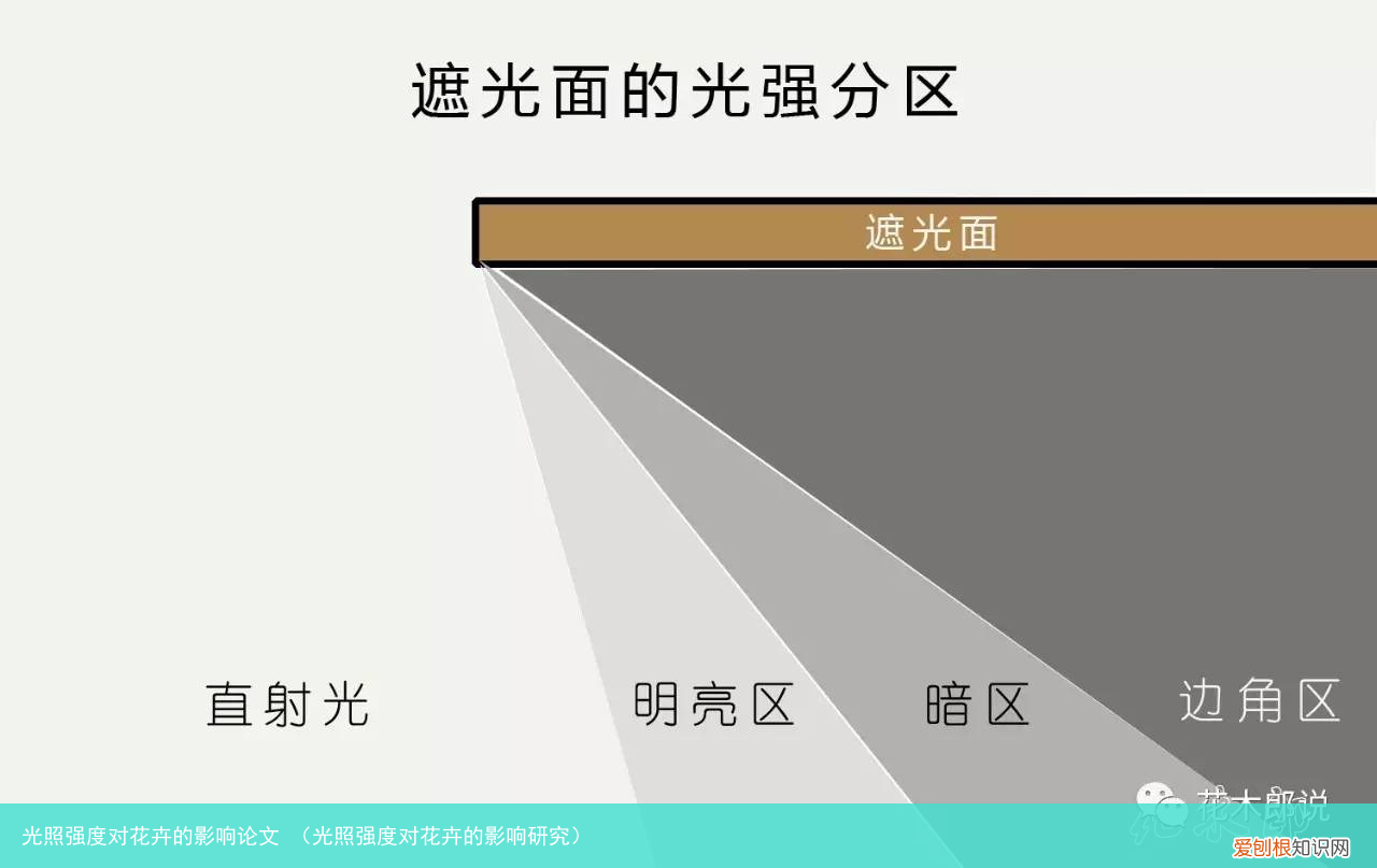 光照强度对花卉的影响研究 光照强度对花卉的影响论文