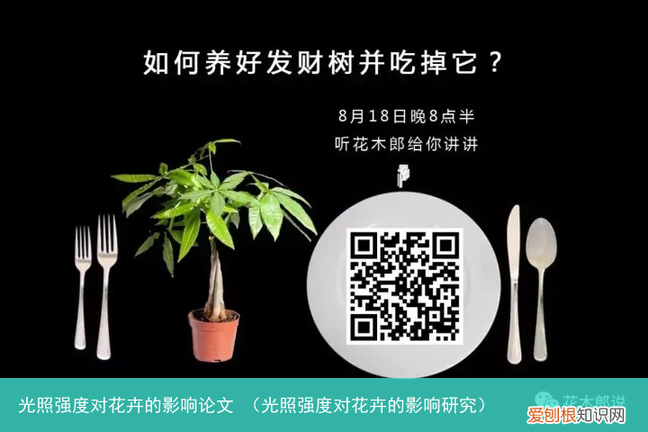 光照强度对花卉的影响研究 光照强度对花卉的影响论文