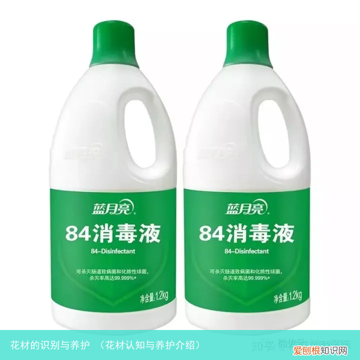 花材认知与养护介绍 花材的识别与养护