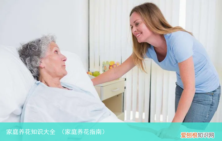 家庭养花指南 家庭养花知识大全
