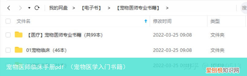 宠物医学入门书籍 宠物医师临床手册pdf