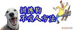 训练狗不咬人方法，如何训练狗狗不咬人