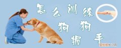 怎么训练狗狗握手，怎么训练狗狗握手另一只手换手