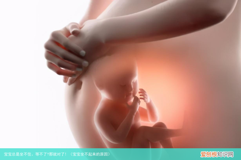 宝宝坐不起来的原因 宝宝总是坐不住、等不了?那就对了!