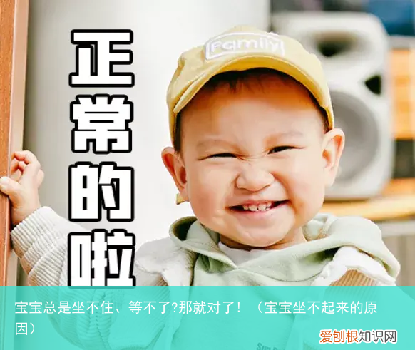 宝宝坐不起来的原因 宝宝总是坐不住、等不了?那就对了!