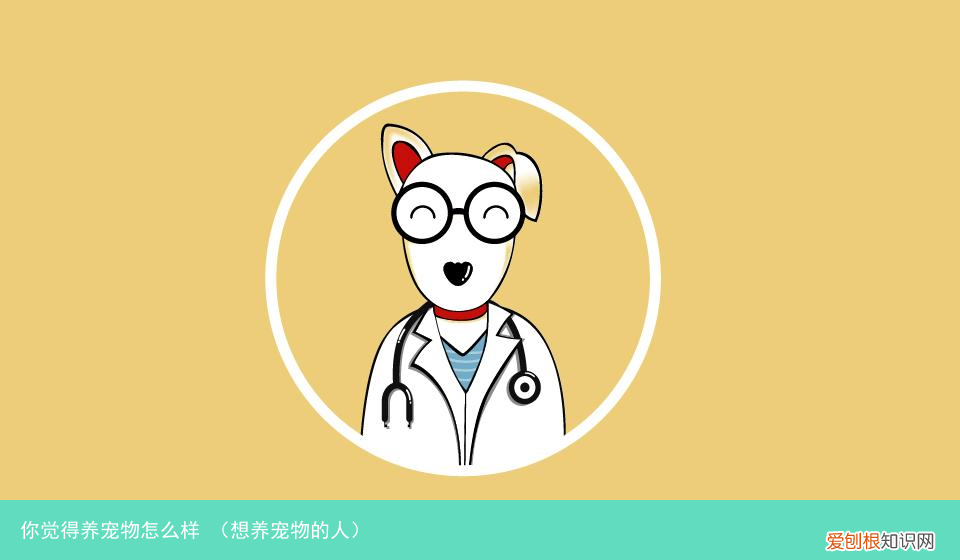 想养宠物的人 你觉得养宠物怎么样