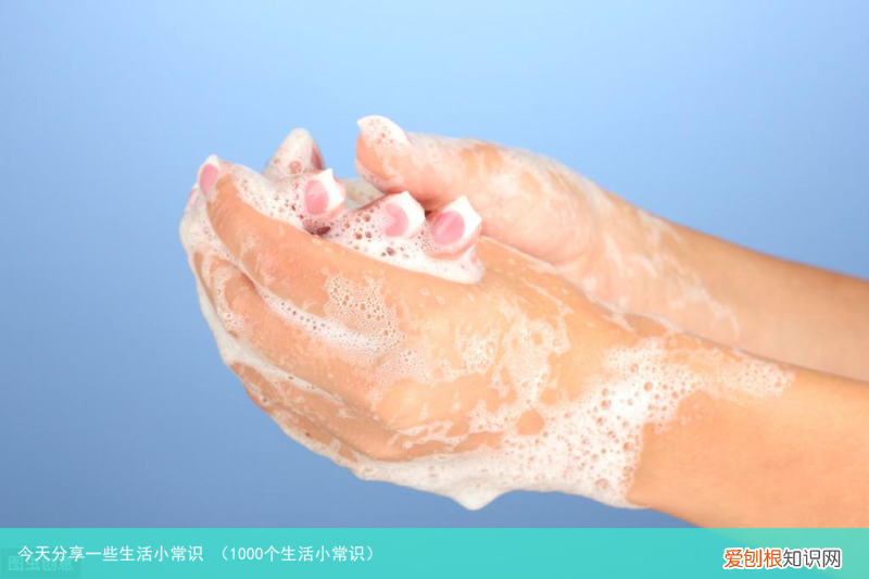 1000个生活小常识 今天分享一些生活小常识