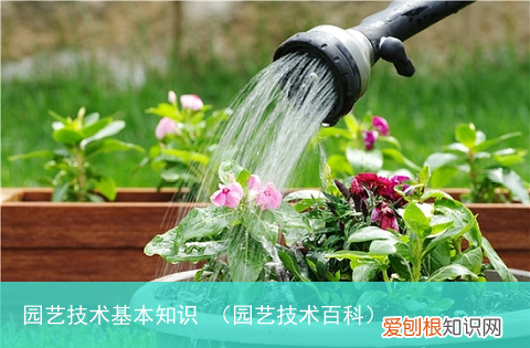 园艺技术百科 园艺技术基本知识