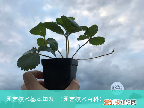 园艺技术百科 园艺技术基本知识