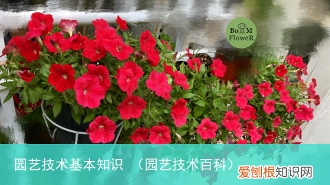 园艺技术百科 园艺技术基本知识