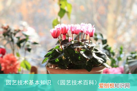 园艺技术百科 园艺技术基本知识