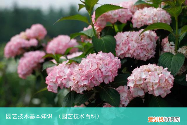 园艺技术百科 园艺技术基本知识