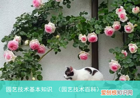 园艺技术百科 园艺技术基本知识