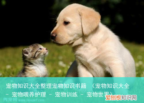 宠物知识大全 – 宠物喂养护理 – 宠物训练 – 宠物世界 宠物知识大全整理宠物知识书籍