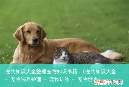 宠物知识大全 – 宠物喂养护理 – 宠物训练 – 宠物世界 宠物知识大全整理宠物知识书籍