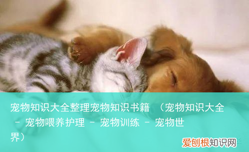 宠物知识大全 – 宠物喂养护理 – 宠物训练 – 宠物世界 宠物知识大全整理宠物知识书籍