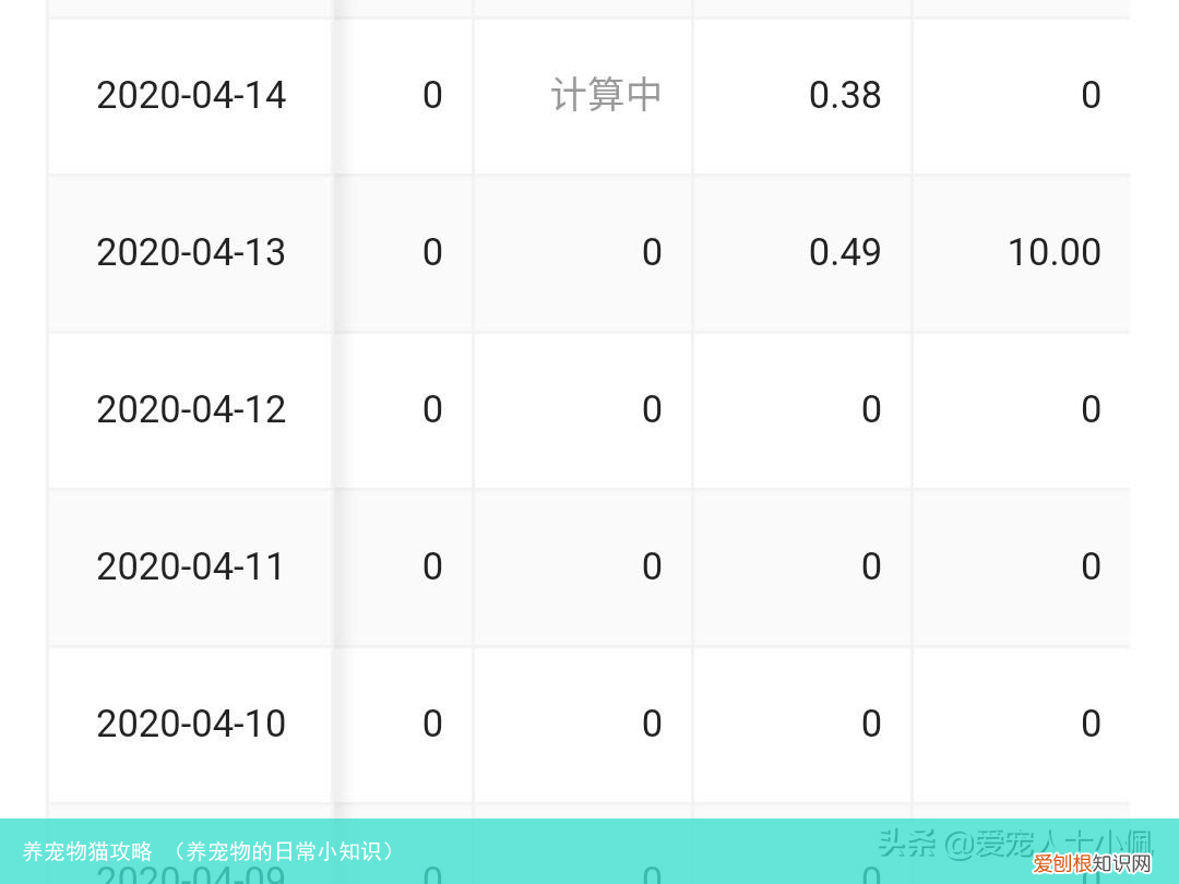 养宠物的日常小知识 养宠物猫攻略