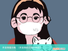 养宠物的日常小知识 养宠物猫攻略