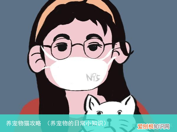 养宠物的日常小知识 养宠物猫攻略