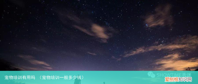 宠物培训一般多少钱 宠物培训有用吗