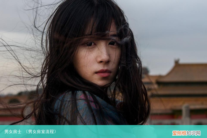 男女房室流程 男女房士