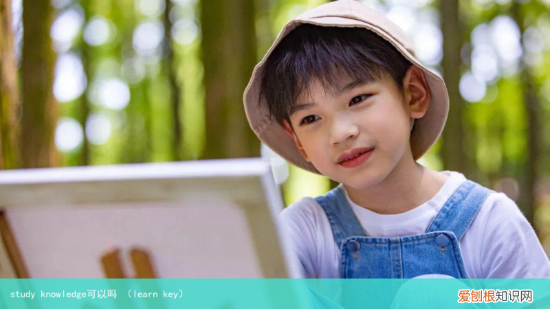 learn key study knowledge可以吗