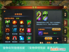 宠物领悟技能 最高几级 宠物如何领悟技能