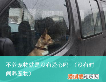 没有时间养宠物 不养宠物就是没有爱心吗