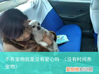 没有时间养宠物 不养宠物就是没有爱心吗