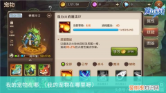 我的宠物在哪里呀 我的宠物在哪