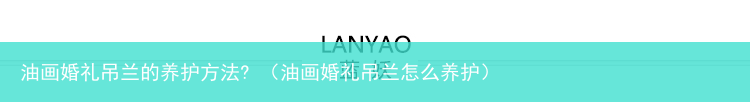 油画婚礼吊兰怎么养护 油画婚礼吊兰的养护方法?