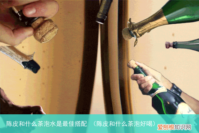 陈皮和什么茶泡好喝 陈皮和什么茶泡水是最佳搭配