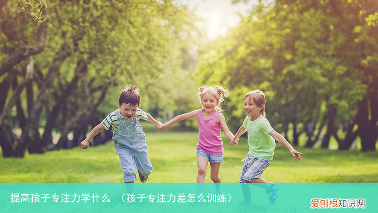 孩子专注力差怎么训练 提高孩子专注力学什么