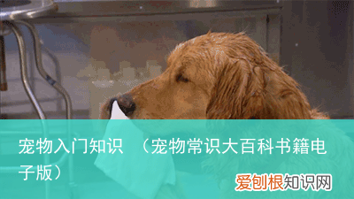 宠物常识大百科书籍电子版 宠物入门知识